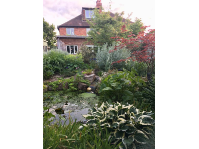 Pond and house from the patio