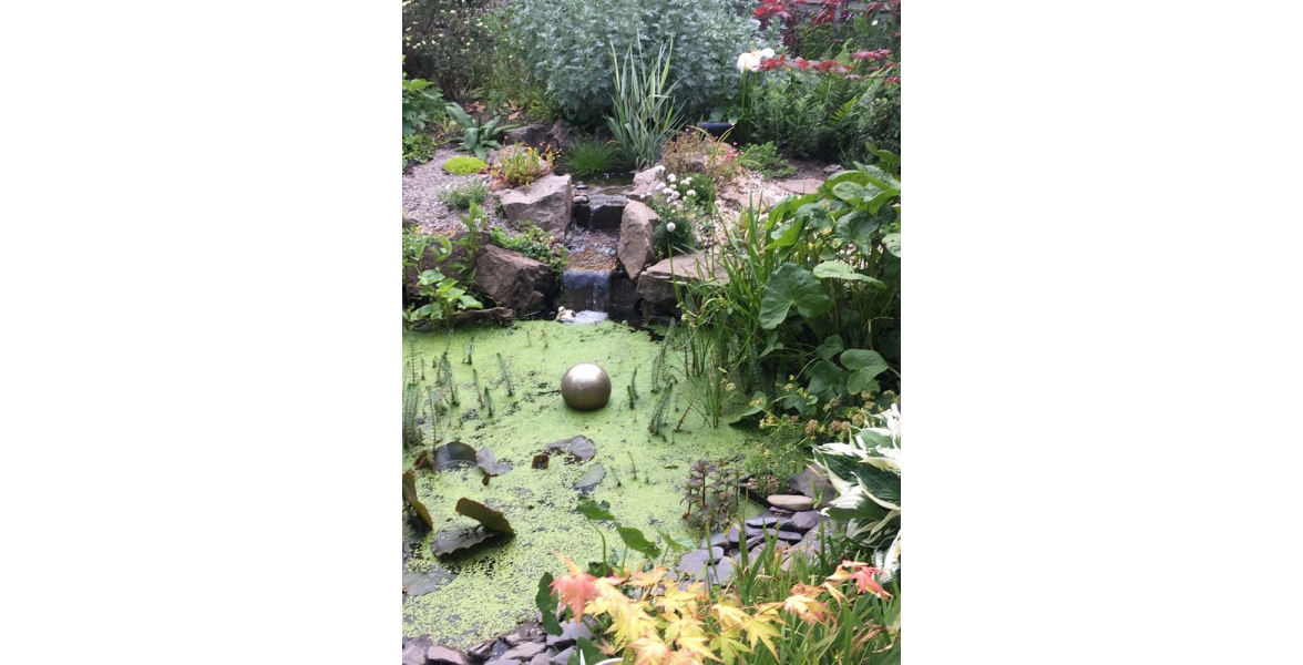 The pond and waterfall