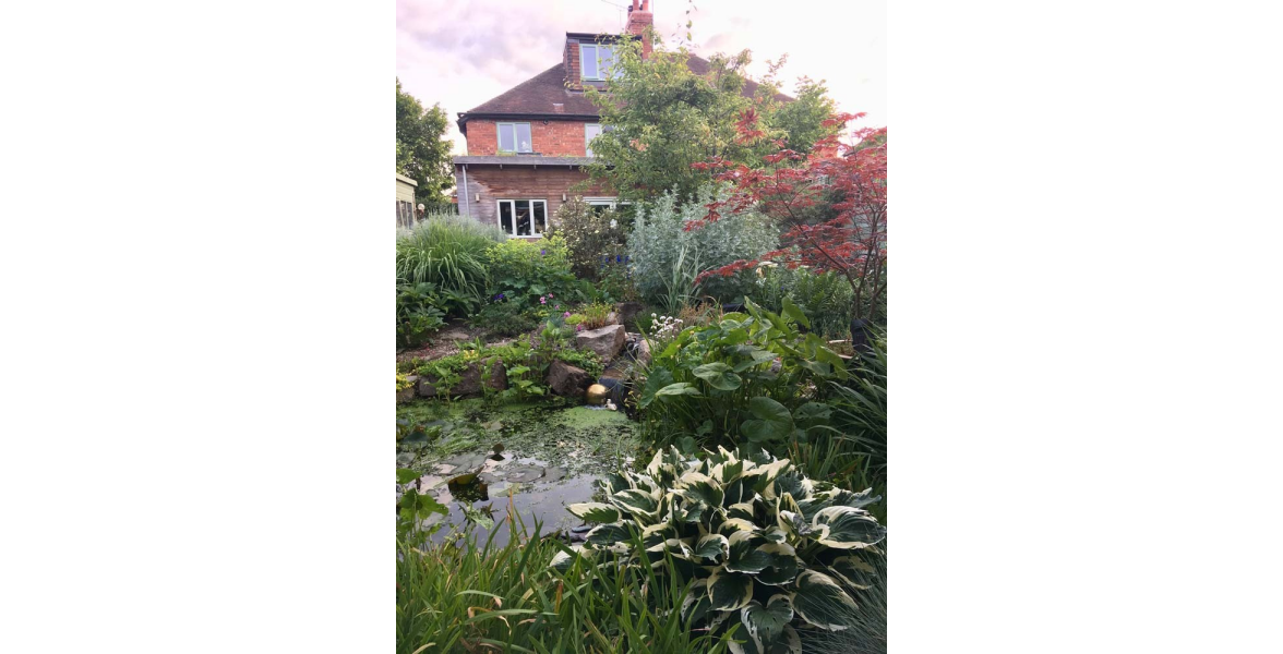 Pond and house from the patio