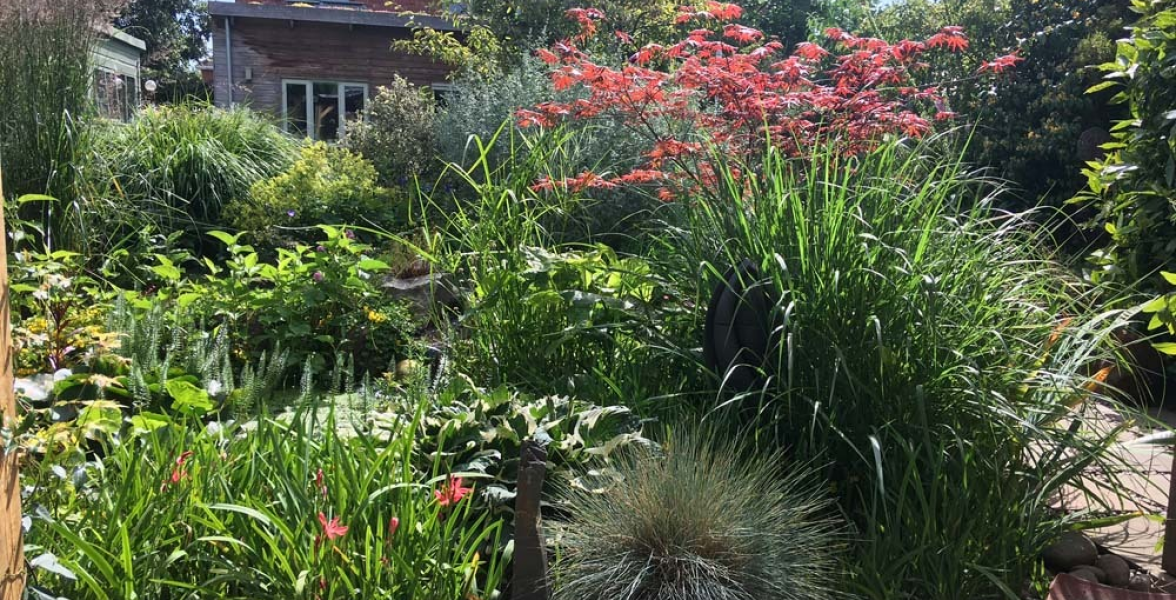 Full summer in the garden