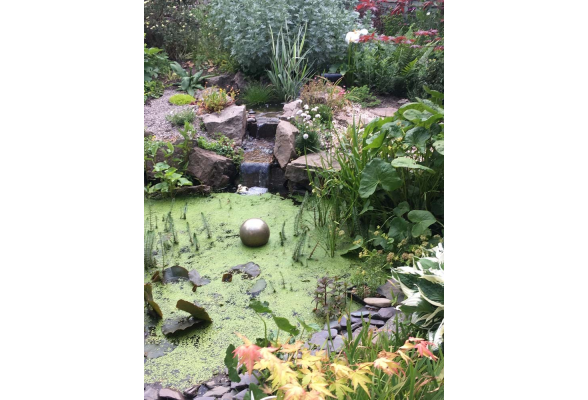 The pond and waterfall