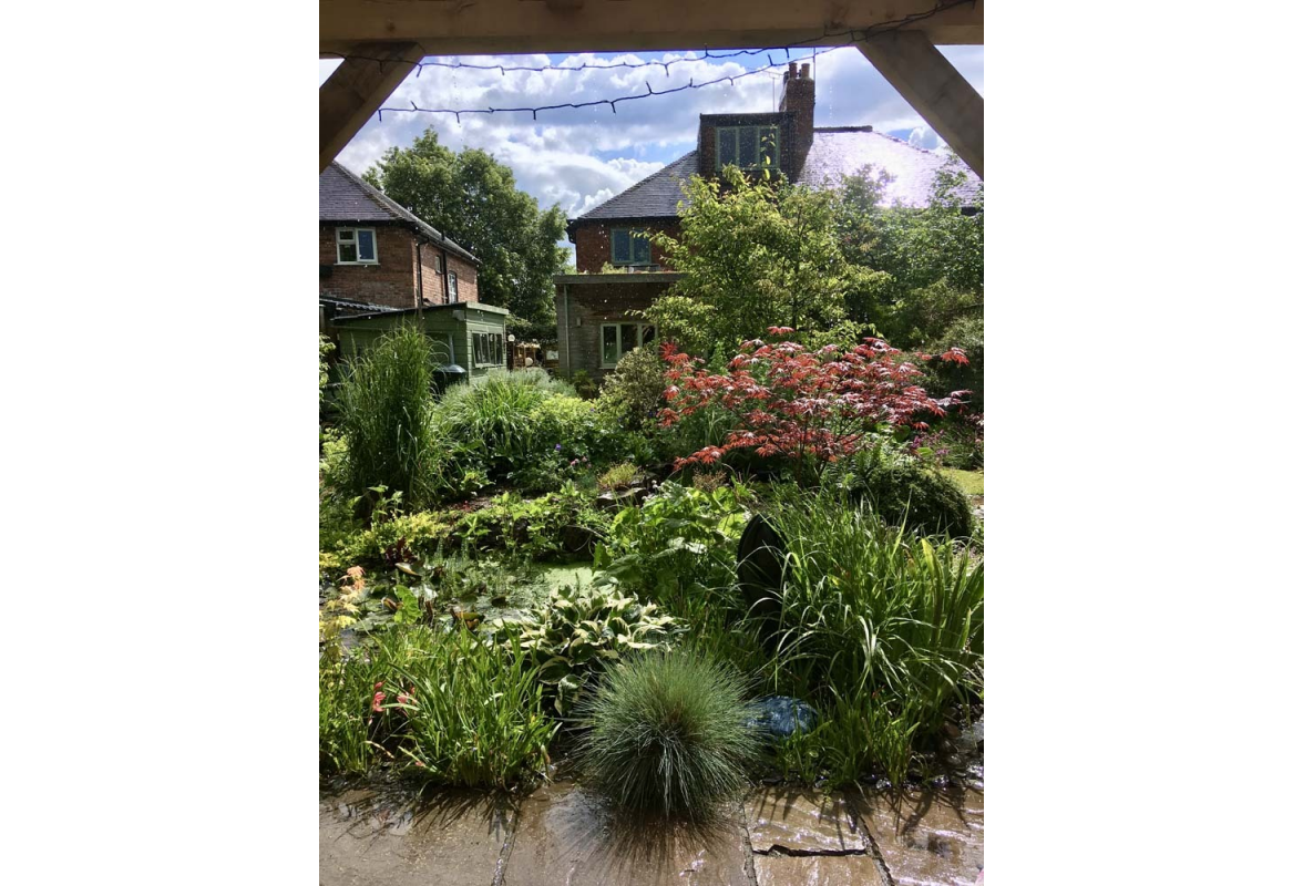 House from the garden room