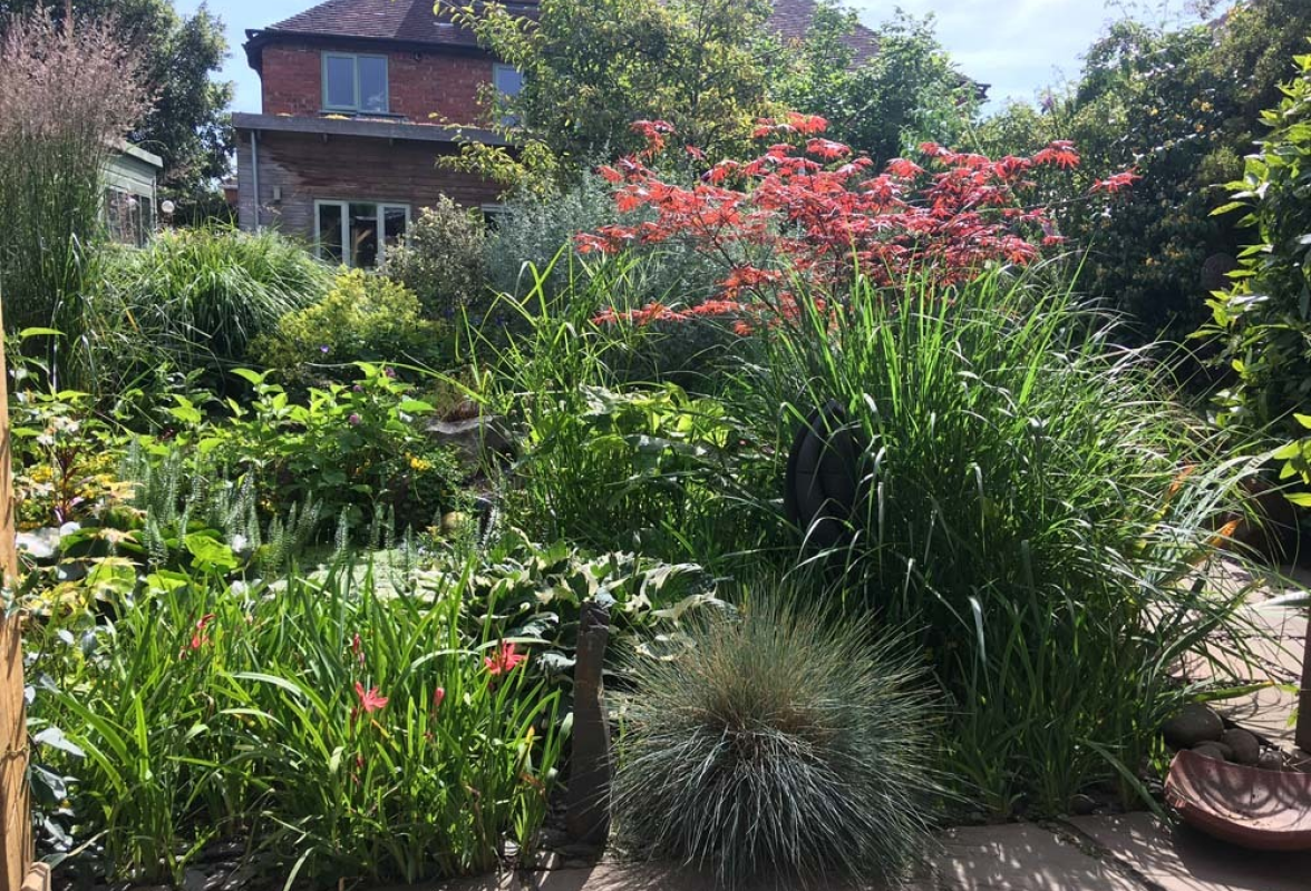 Full summer in the garden