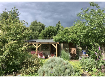 Garden and studio from the house