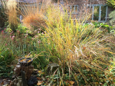 Autumn near the pond