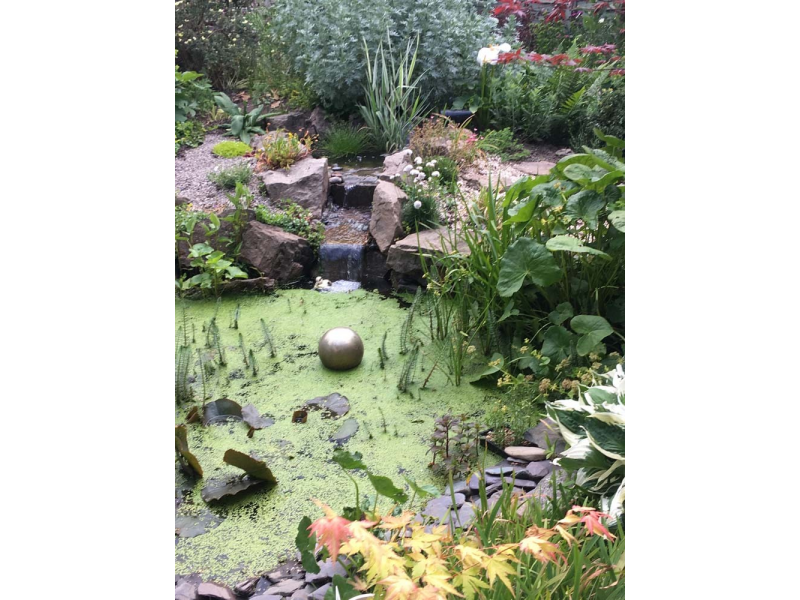 The pond and waterfall