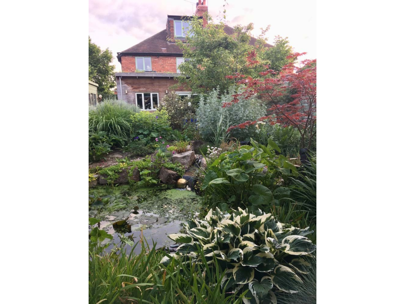 Pond and house from the patio