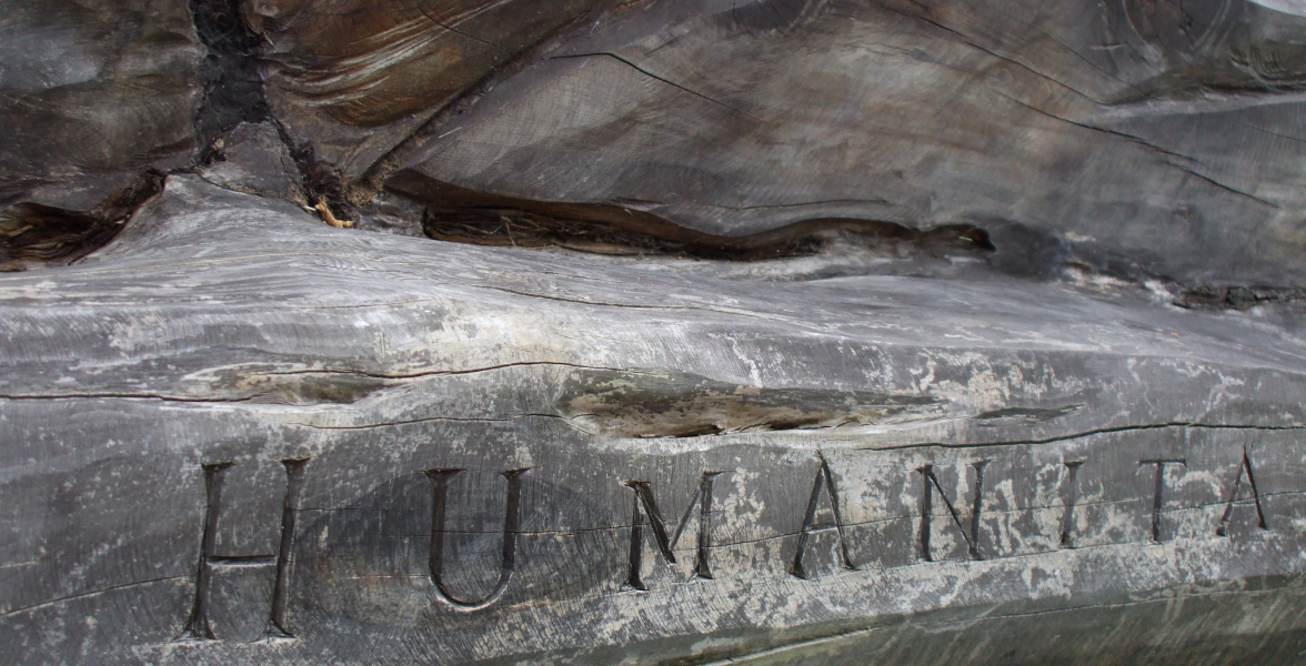 Test on Ivan's bench