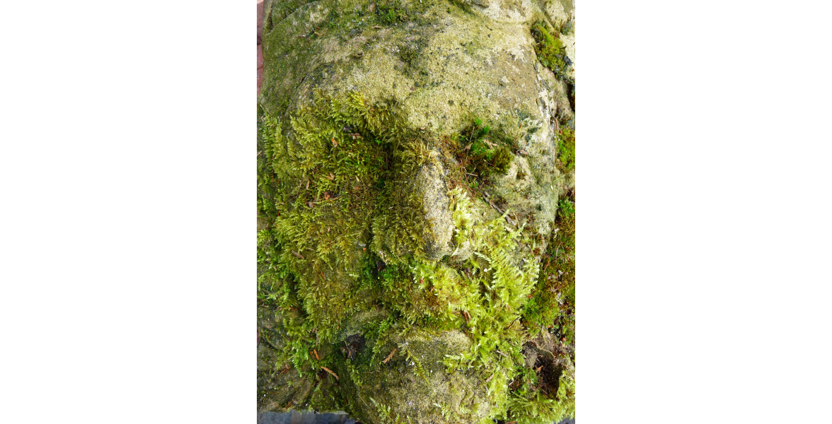 Carved green man stone by Ivan Williams