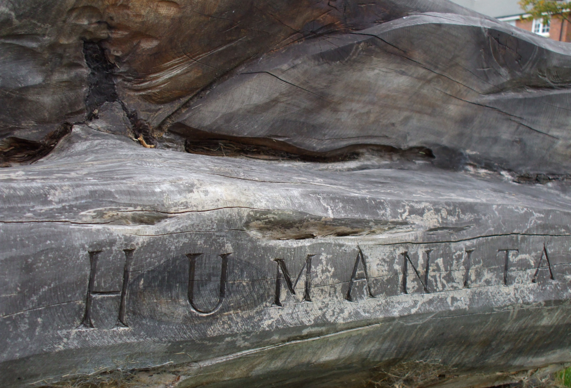 Test on Ivan's bench