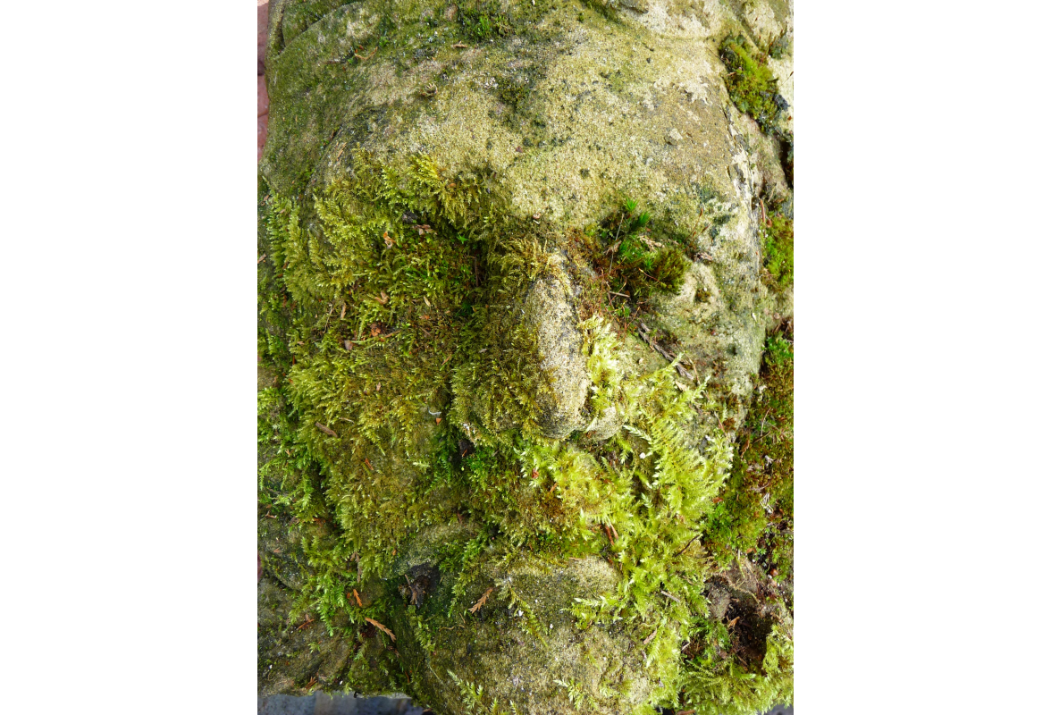 Carved green man stone by Ivan Williams