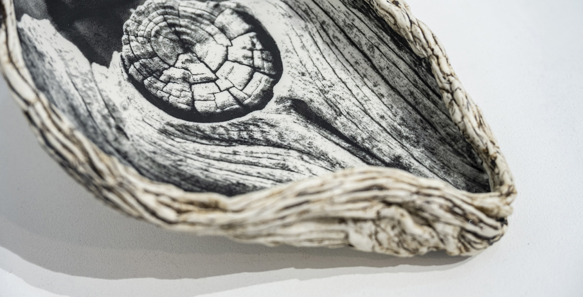 Oyster Shell