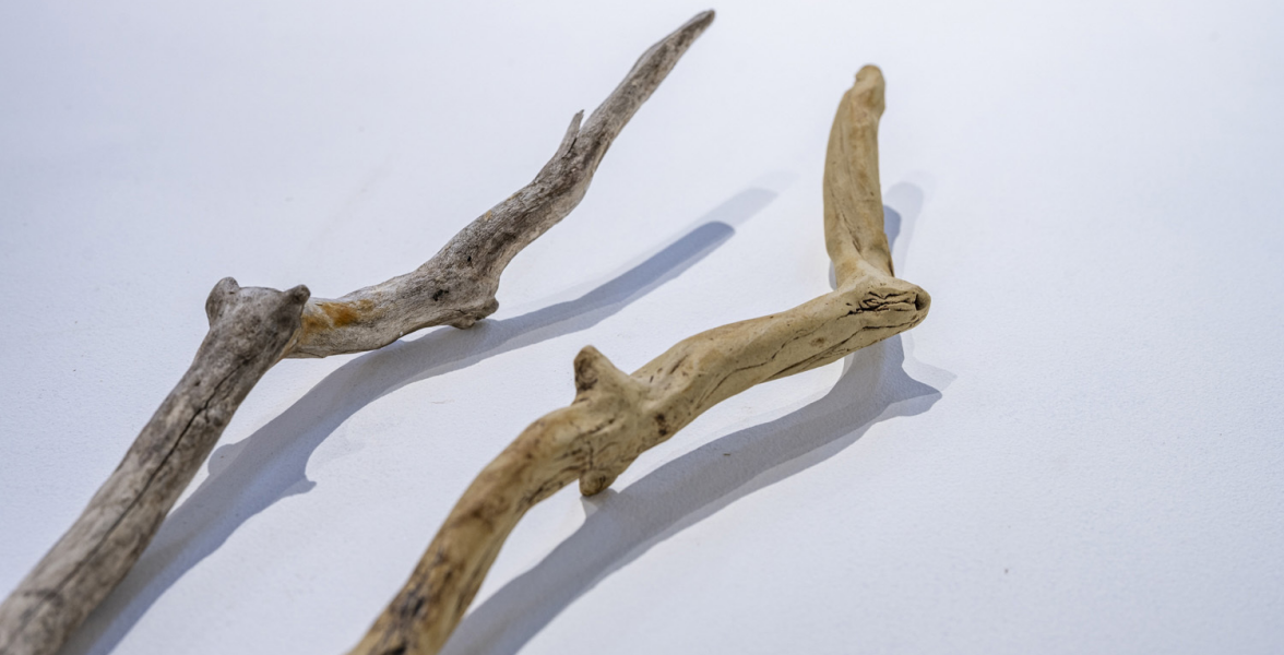 Sticks