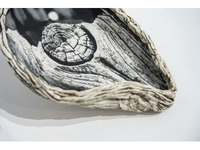 Oyster Shell