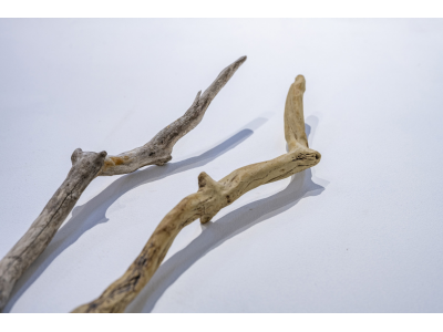 Sticks