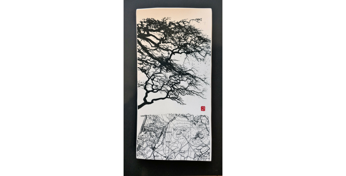 Mapped Beech