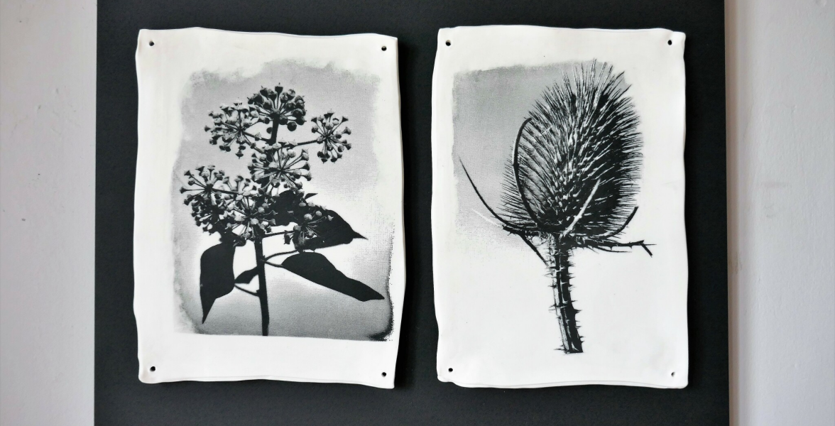 Ivy and Thistle