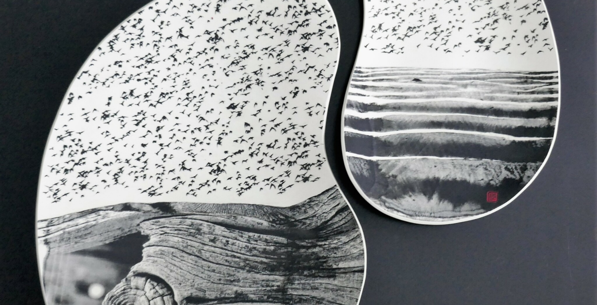 Coastal Elements II