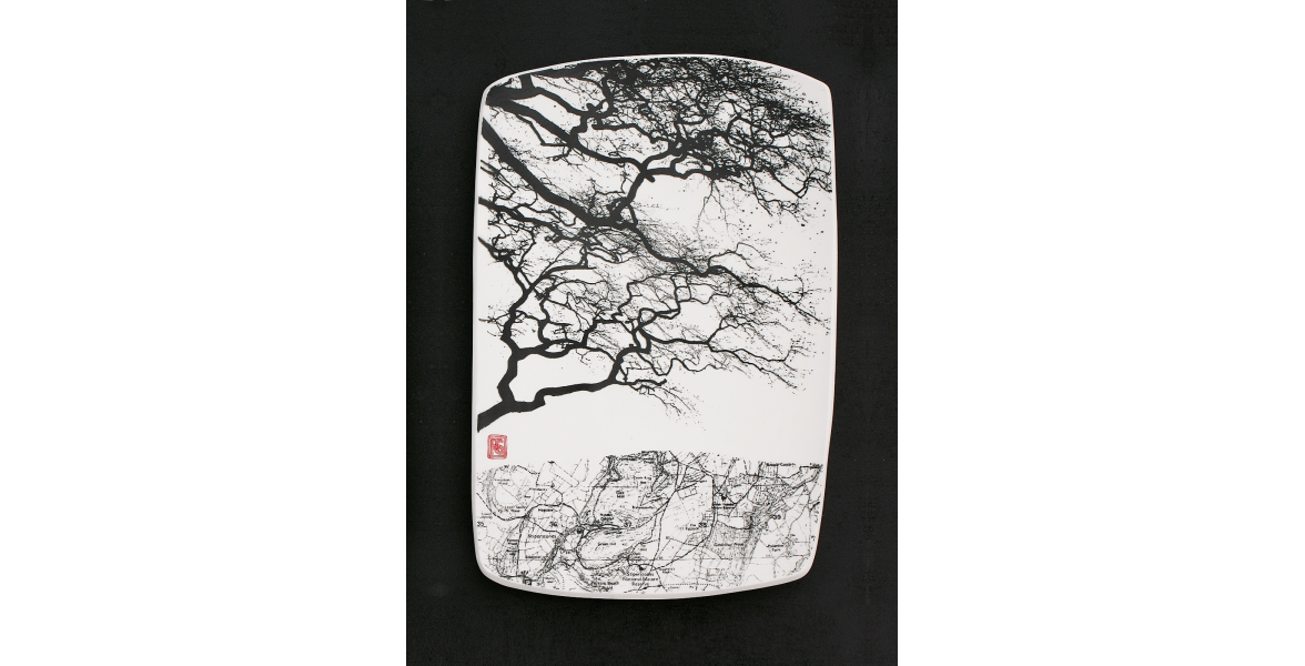 Mapped Beech