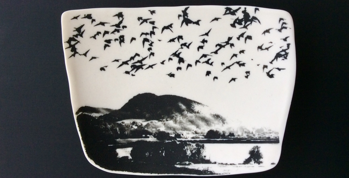 Flight over Earls Hill