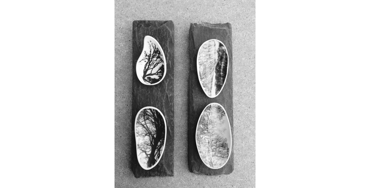 Shells I & II