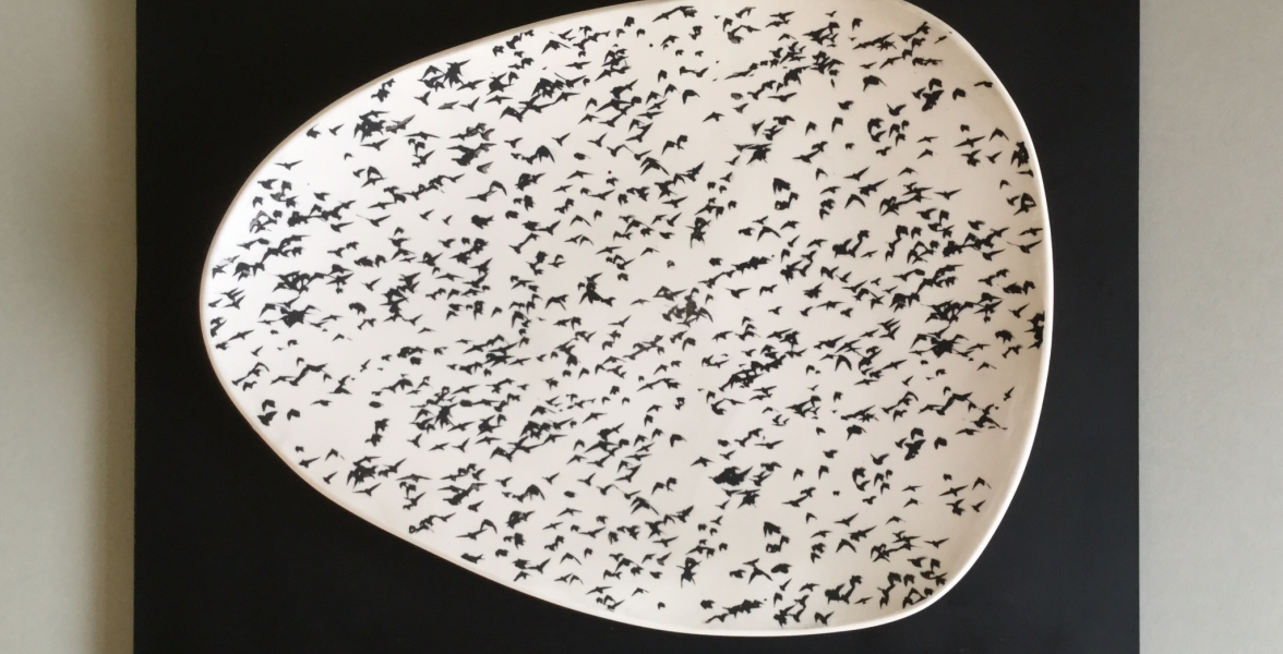 Murmurations