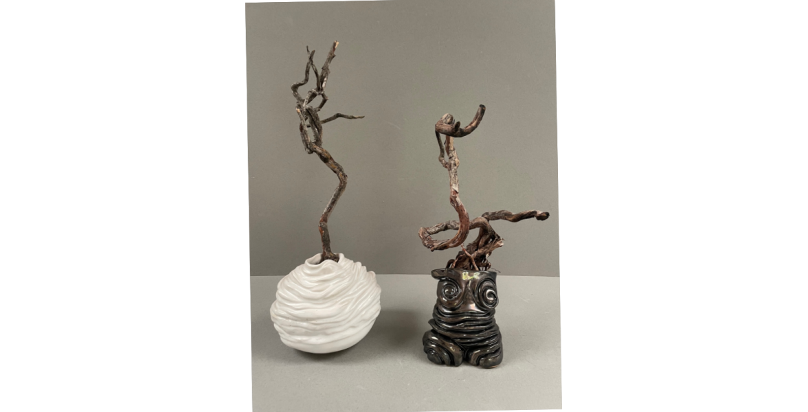 Rooted