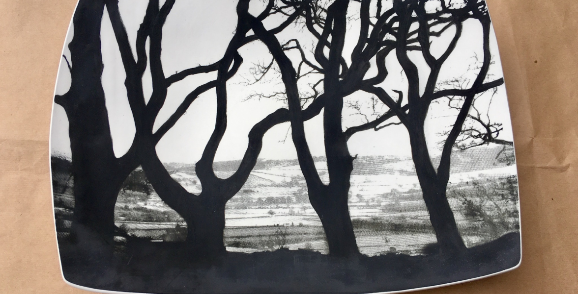 Through the trees