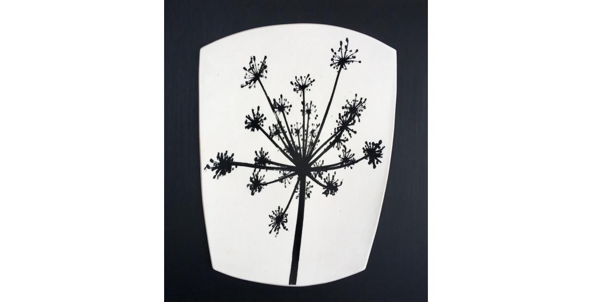 Umbellifer Profile