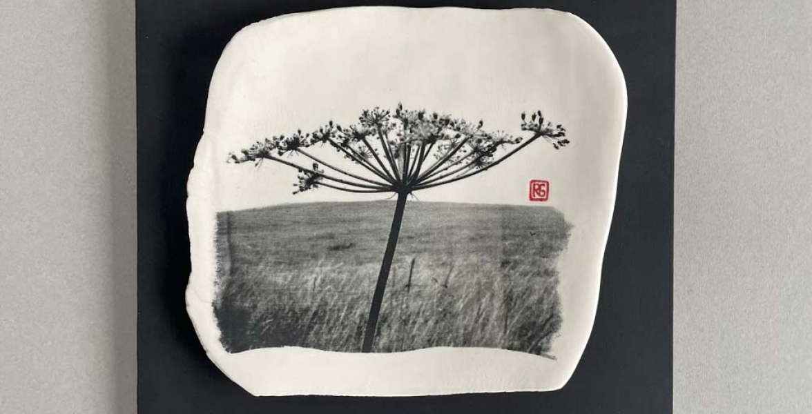 Umbellifer 