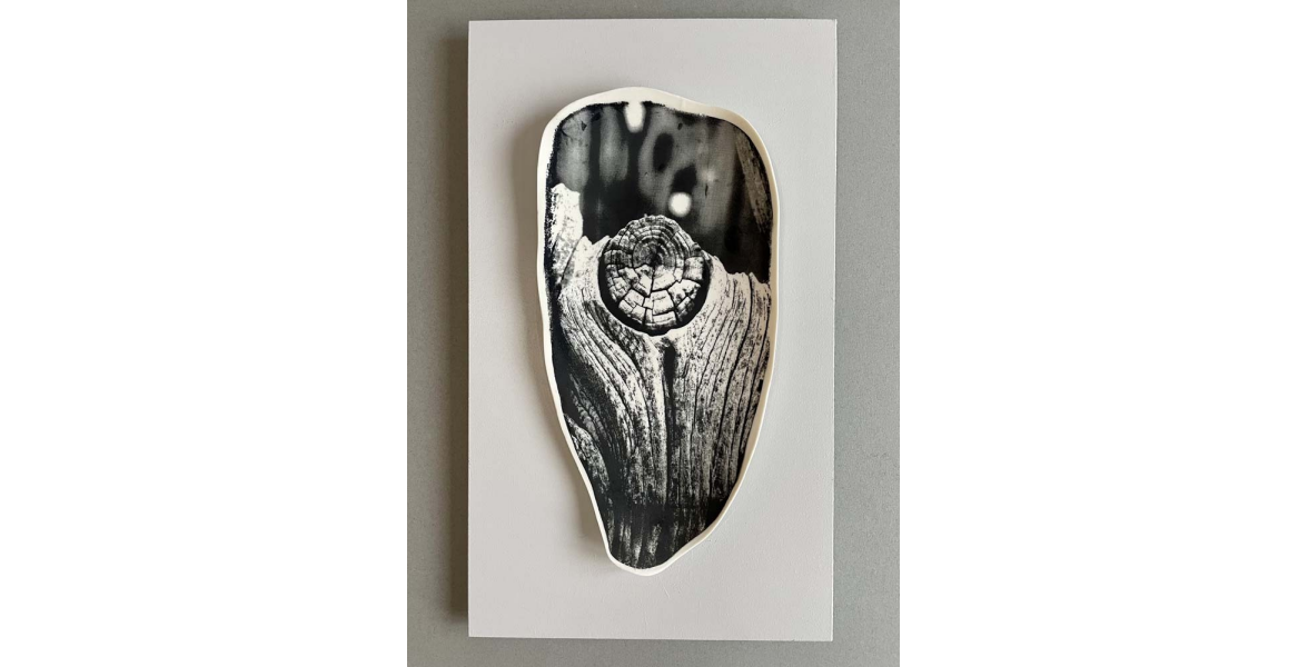 Wood Print I