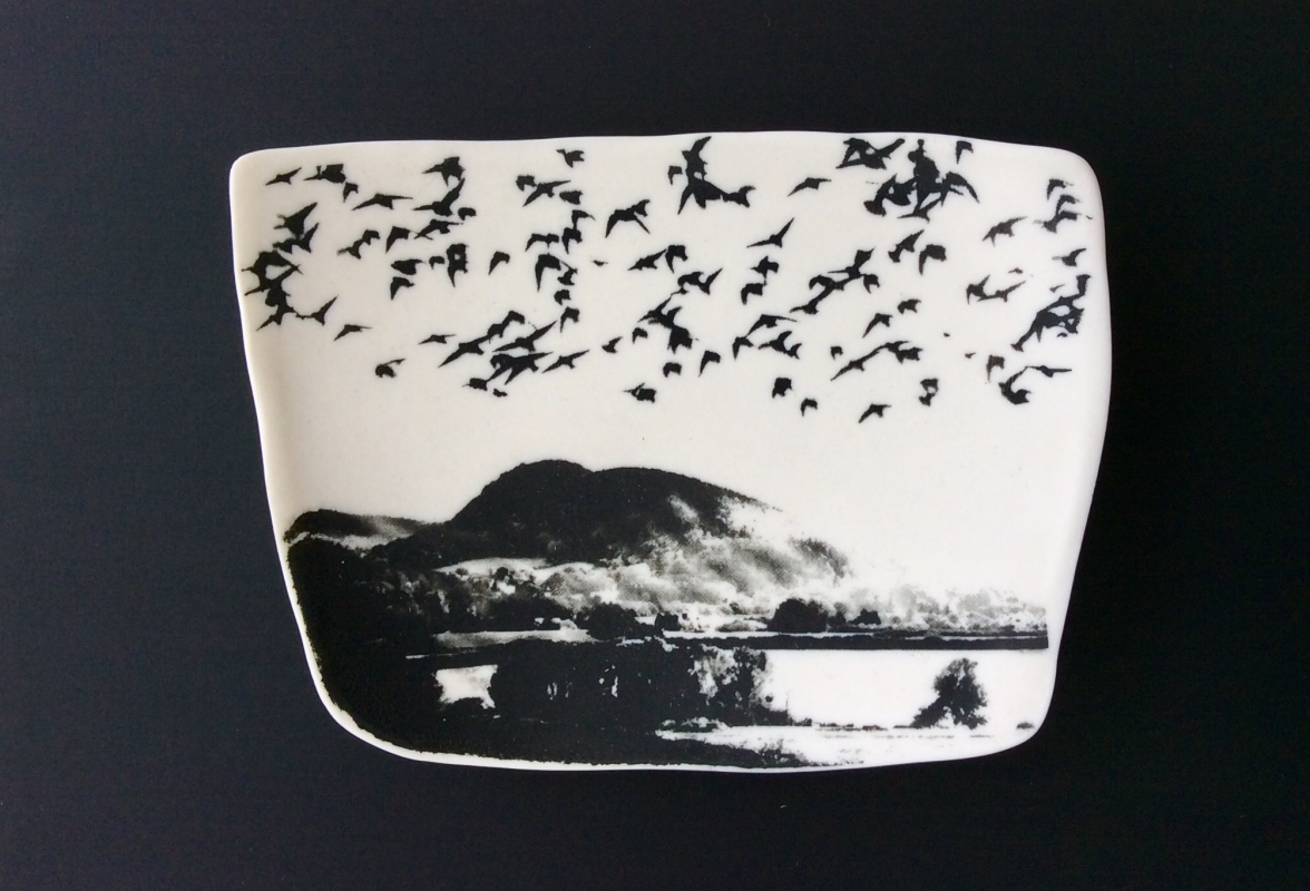 Flight over Earls Hill