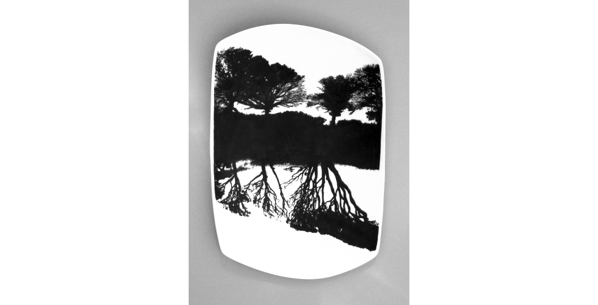 Tree Reflections