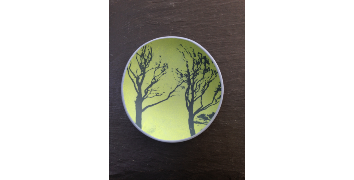Coloured Trees on Wedgwood Blue