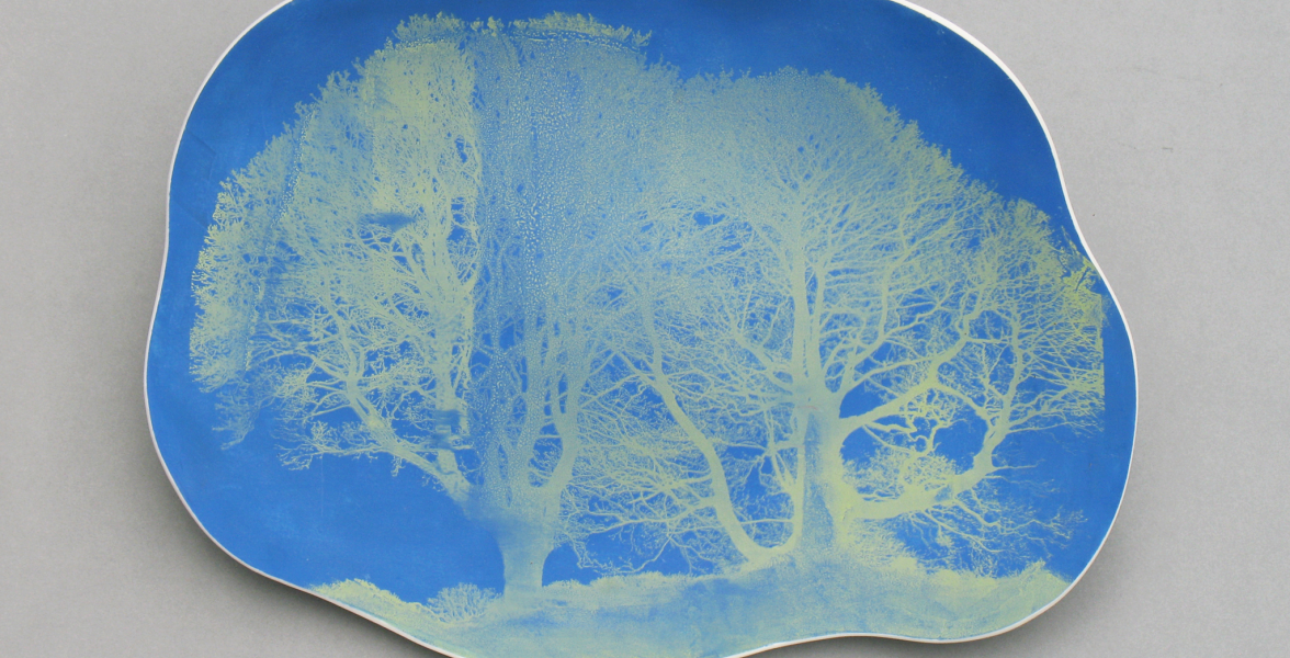 Trees in Blue