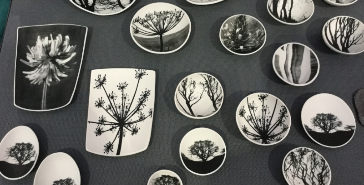 Umbellifer prints