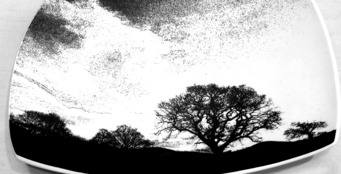 Treescape II