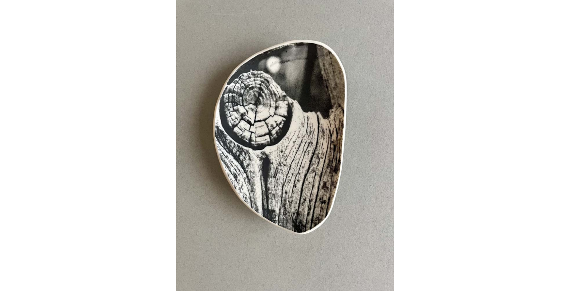 Wood Print Bowl 2