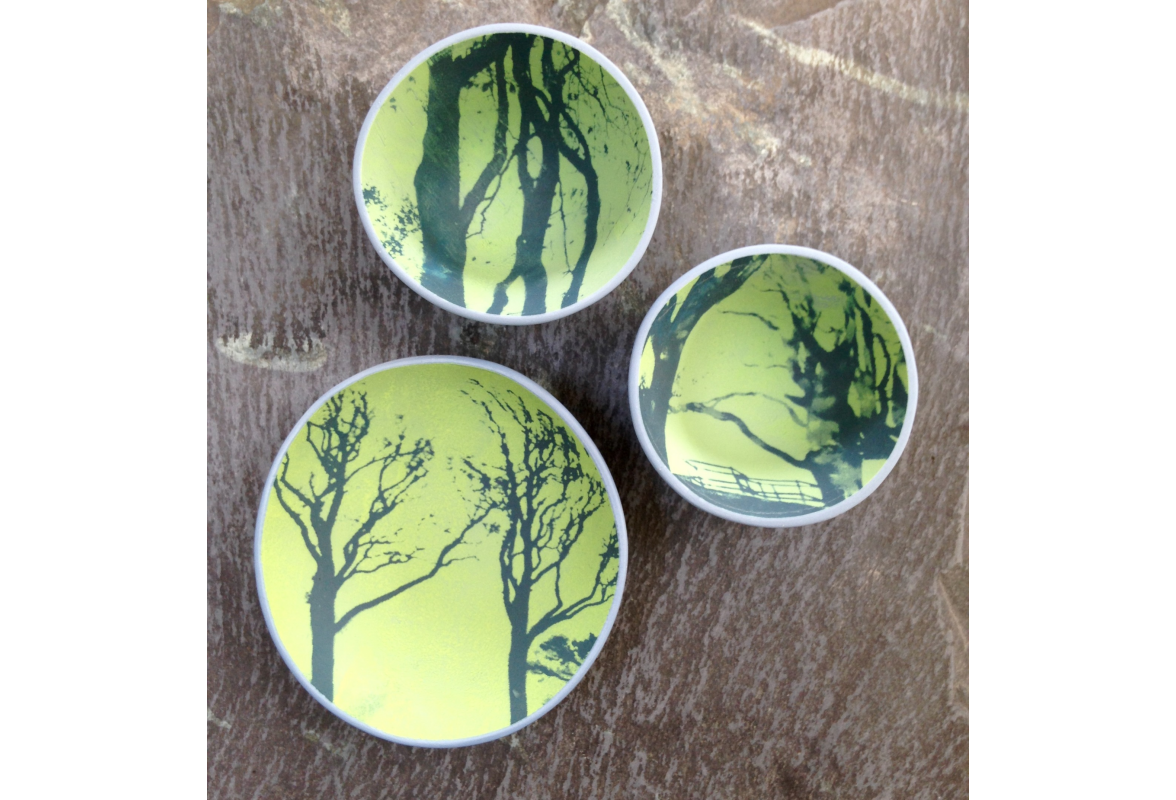 Coloured Trees on Wedgwood Blue