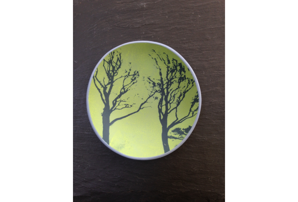 Coloured Trees on Wedgwood Blue