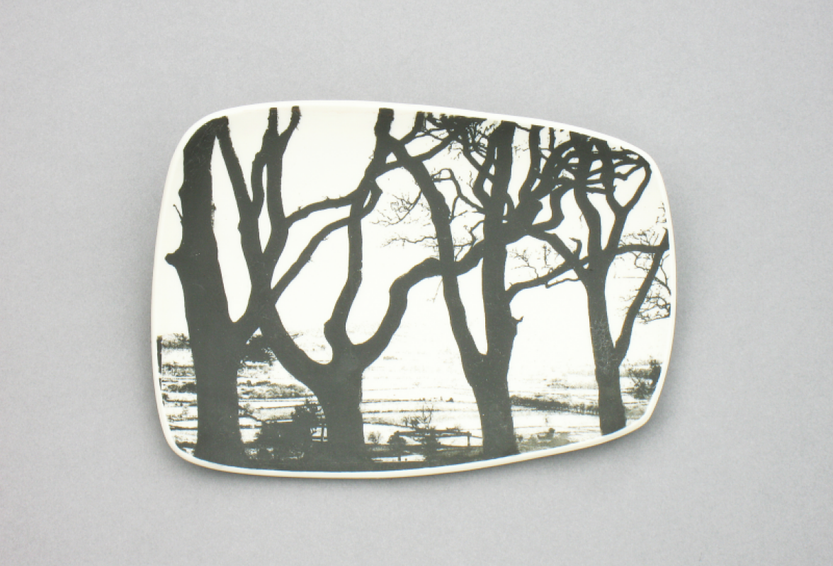 Through the Trees II