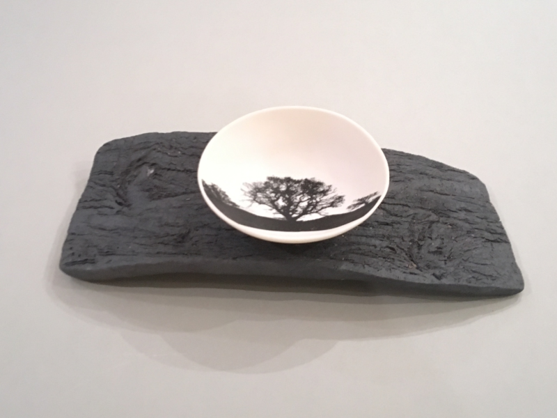 Tree Bowl on wood print stand