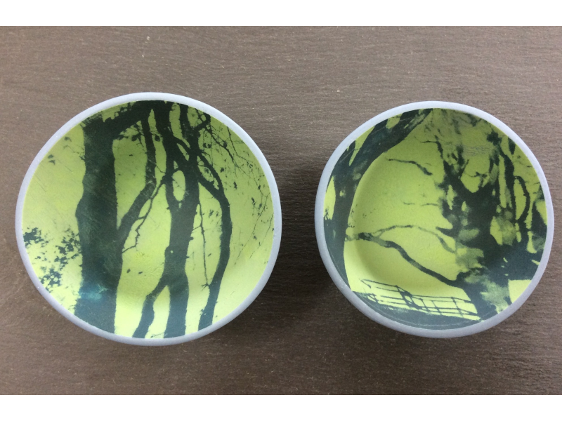 Printed beech trees inside porcelain blue bowls