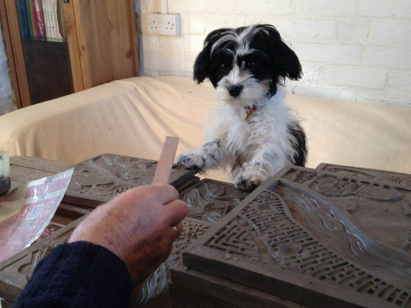 Harvey helping in Mike's workshop