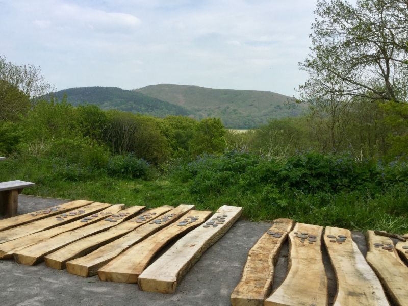 Laying out oak planks