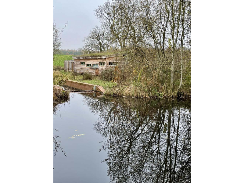 The Bird Hide