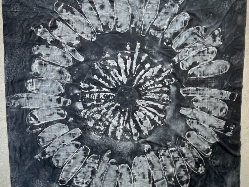 Mandala Shroud