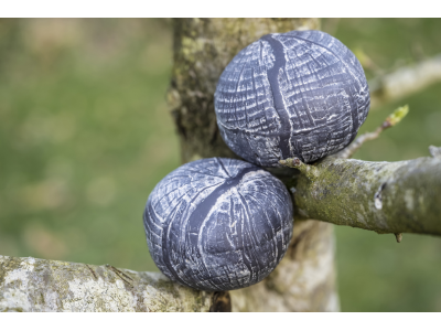 Tree print Memory Stones