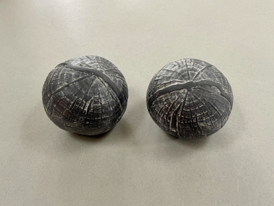 Stoneware spheres embossed with tree prints, decorated with porcelain slip and human ash. Ash contained within
