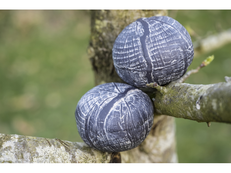 Tree print Memory Stones